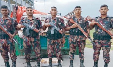 ভারতীয় গরুর গোশতের চালান আটকৎ