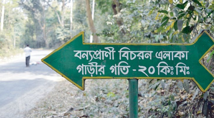 গাড়িচাপায় মরছে সংরক্ষিত বনের প্রাণী