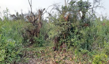 অস্তিত্ব সংকটে ‘লক্ষ্মী বাওর’