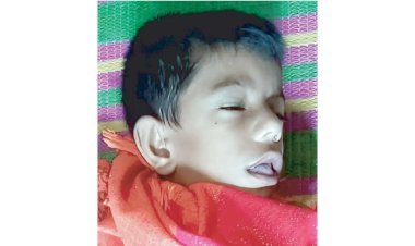 প্লাস্টিকের মাছ তুলতে গিয়ে জলাশয়ে ডুবে শিশুর মৃত্যু