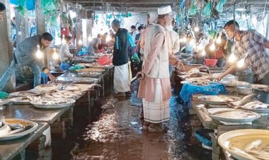 ভরা মৌসুমেও হবিগঞ্জে দেশীয় মাছের আকাল