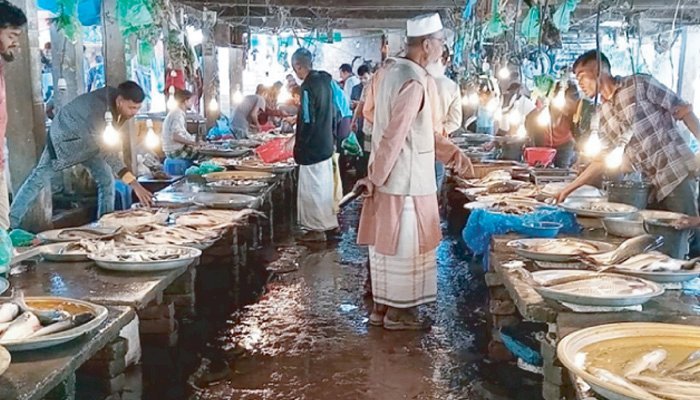 ভরা মৌসুমেও হবিগঞ্জে দেশীয় মাছের আকাল